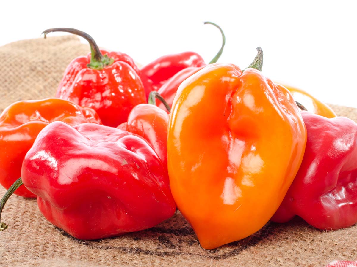 photo of red peppers